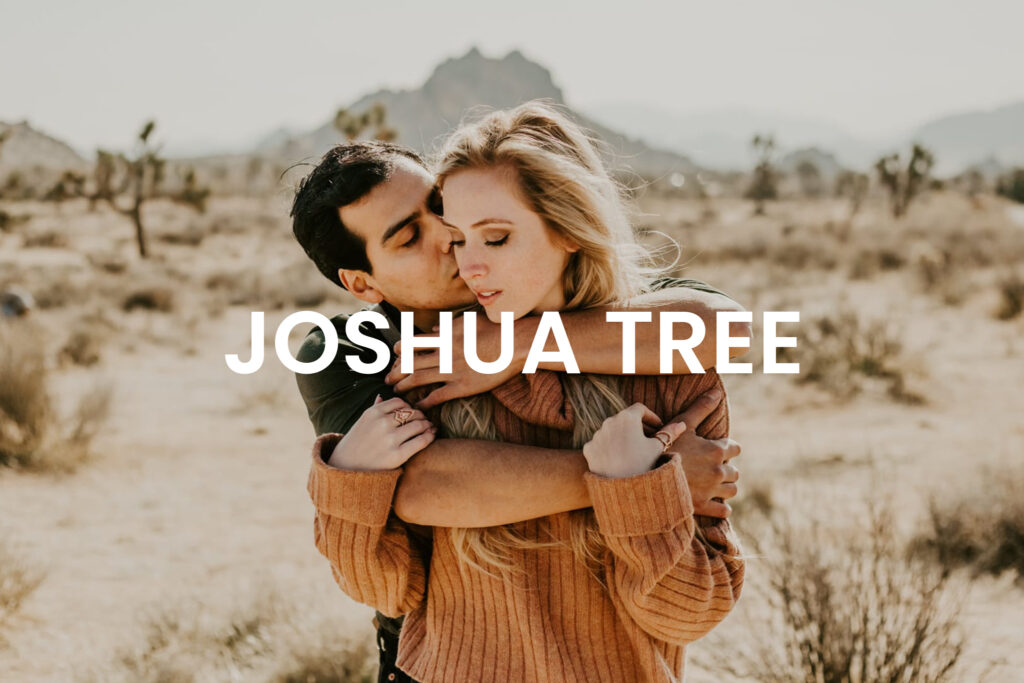 joshua tree