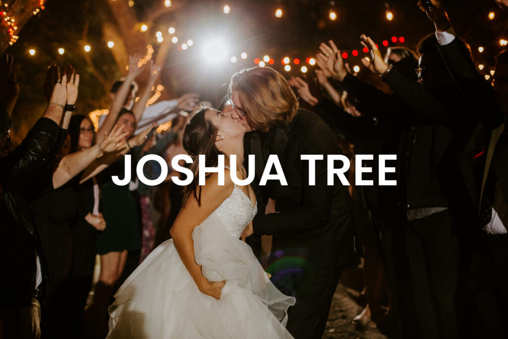 Joshua Tree Wedding Photographer