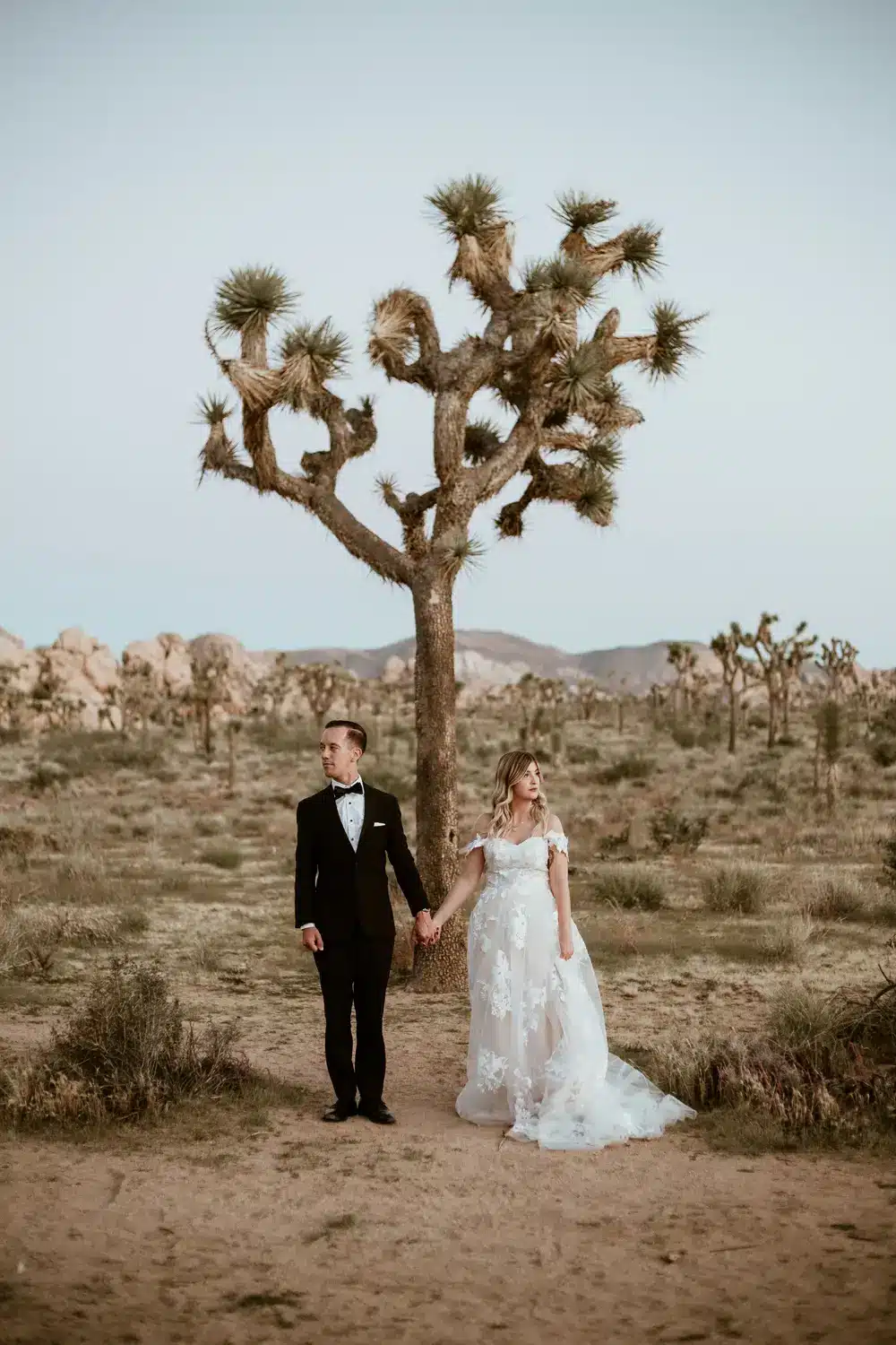 Groom and bride getting married in Joshua Tree