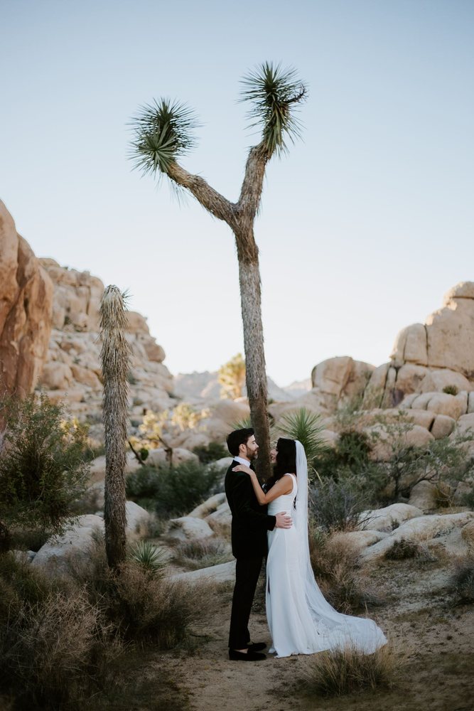 Couple close under a towering Y-shaped Joshua tree