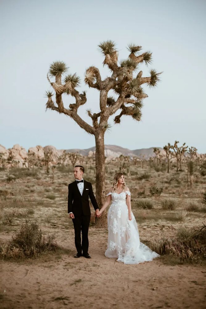 Couple holding hands under a Joshua tree