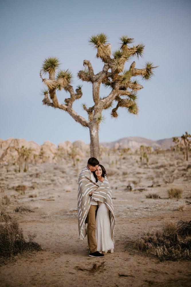 Couple wrapped in a blanket under a Joshua tree