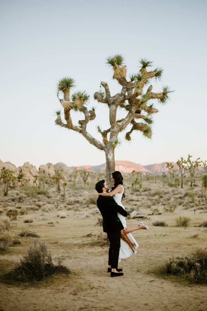 Groom lifting his bride under a Joshua tree