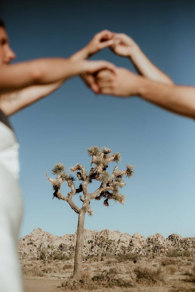 Hands joined in front of a Joshua tree