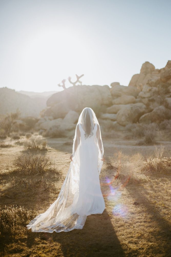 Bride walking toward the sun in a cathedral veil