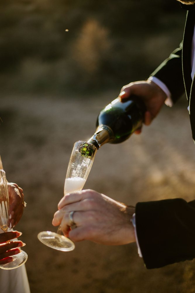Champagne poured into a glass, close up