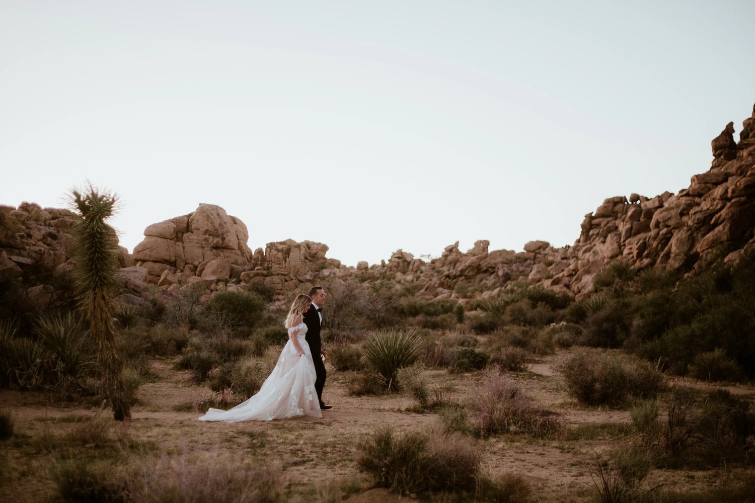 Walking through the desert at dusk