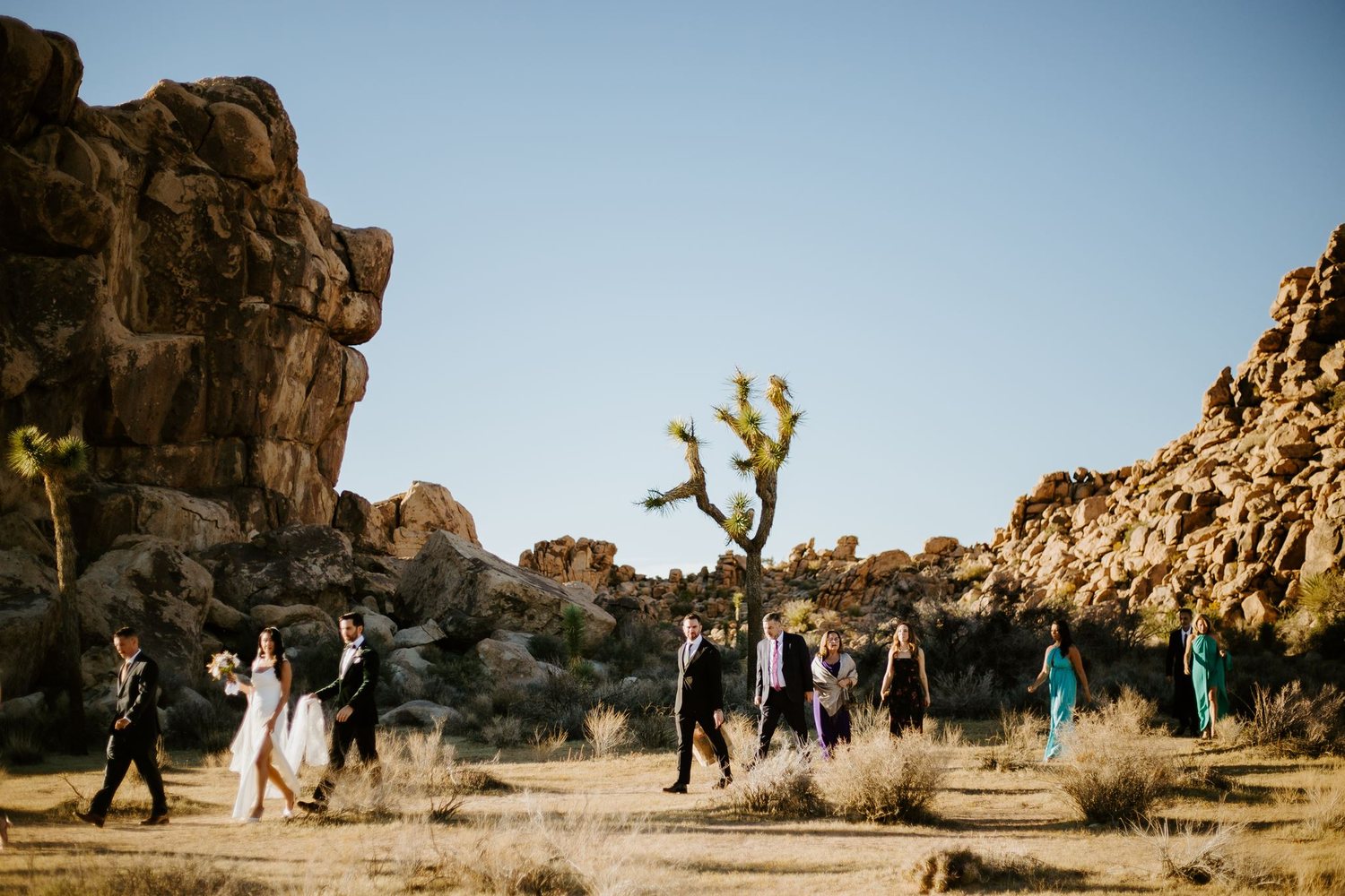 The whole family walking through Joshua Tree